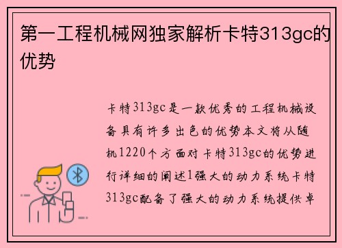 第一工程机械网独家解析卡特313gc的优势